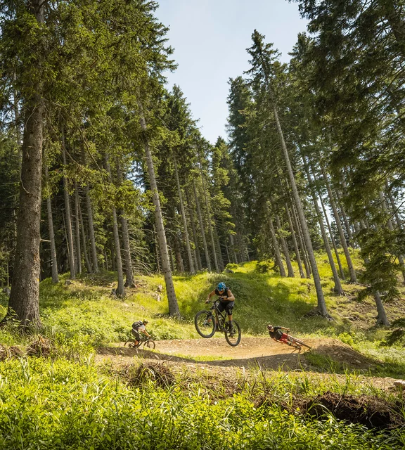 Biken in allen Höhenlagen