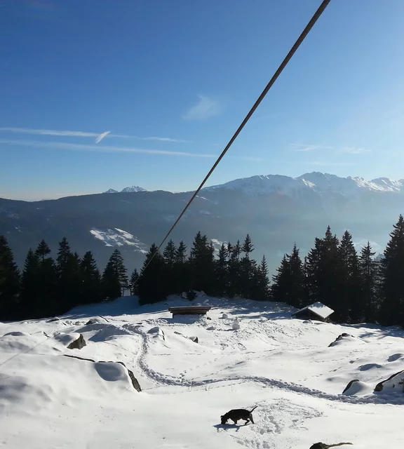 Für Schneefans