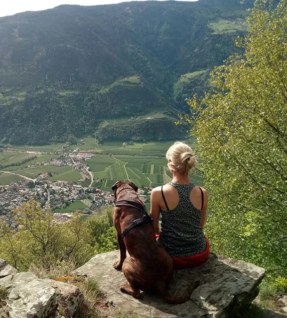 Urlaub mit Hund am Vertignerhof