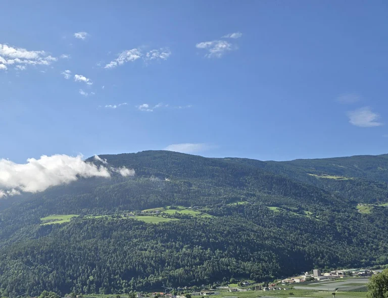 Aussicht zum Nörderberg (Foto), Burggrafenamt mit Meran und Vinschgau